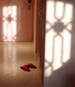 &copy;Claudia Radig-Willy